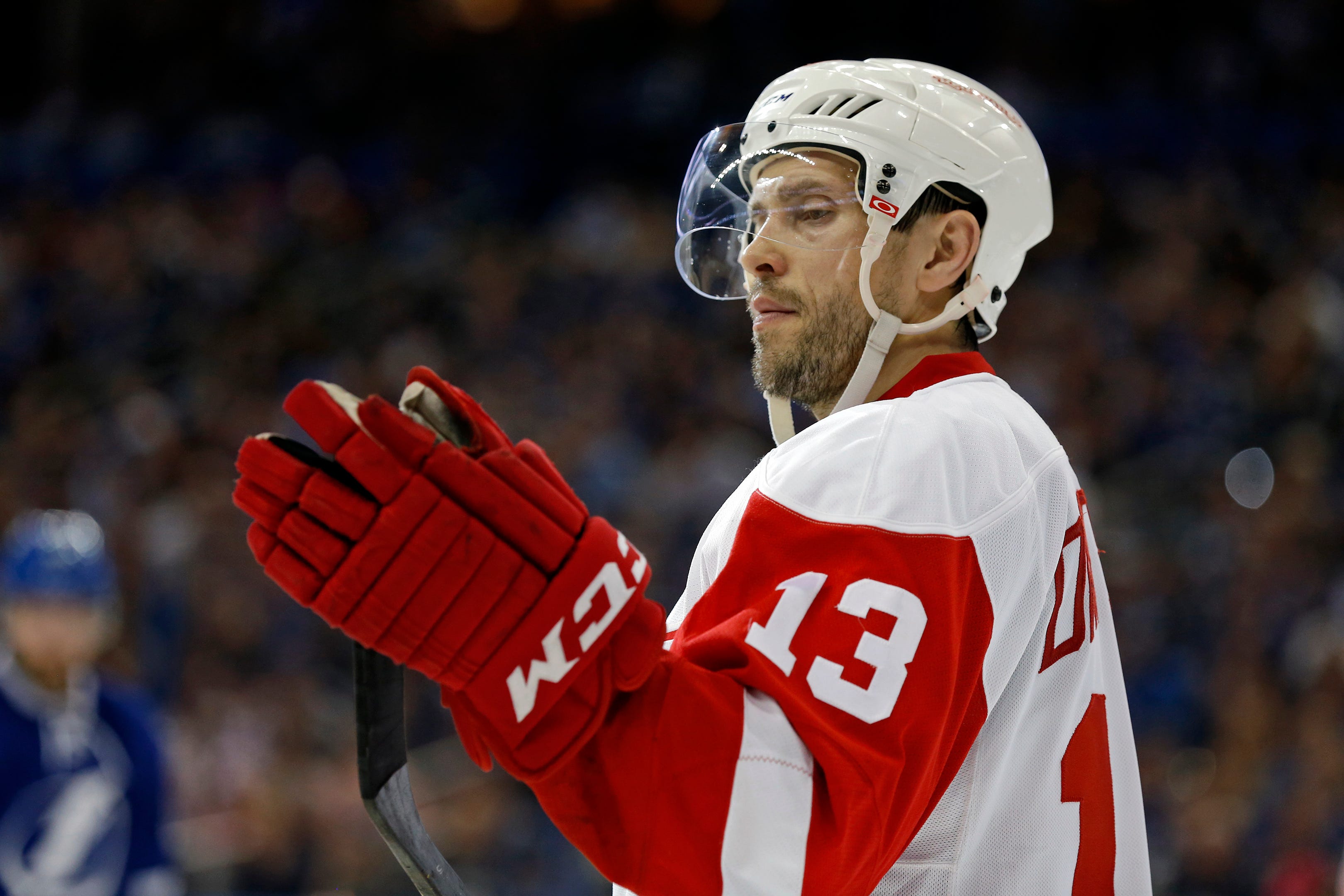 pavel datsyuk arizona coyotes jersey